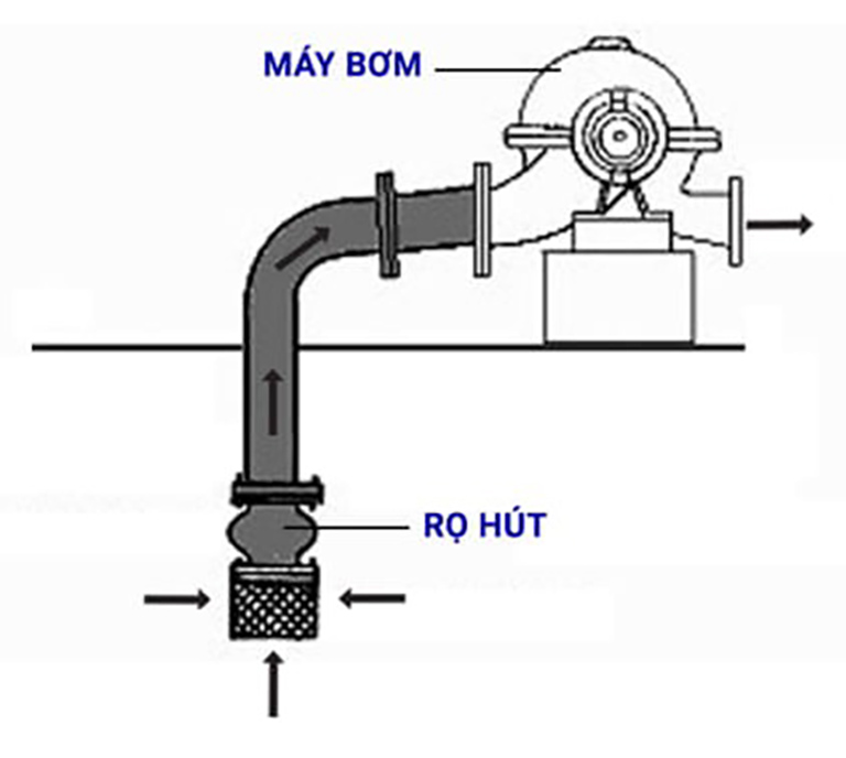 Cơ chế hoạt động chung của rọ bơm.