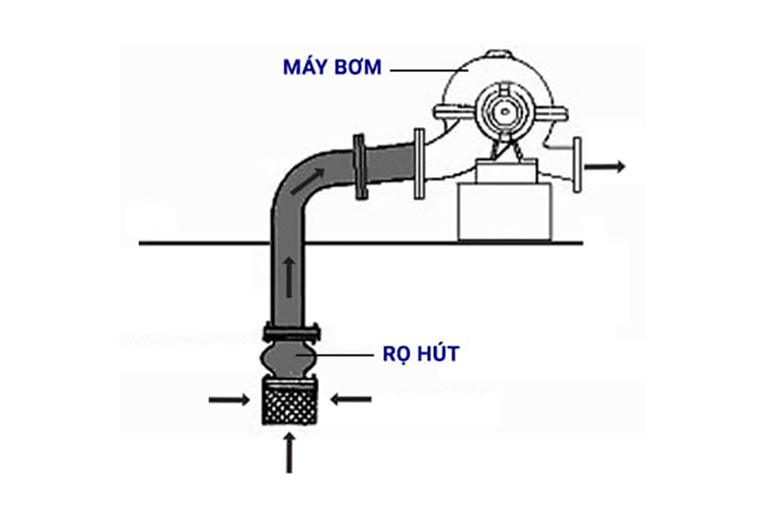 Nguyên lý hoạt động chung của rọ bơm.